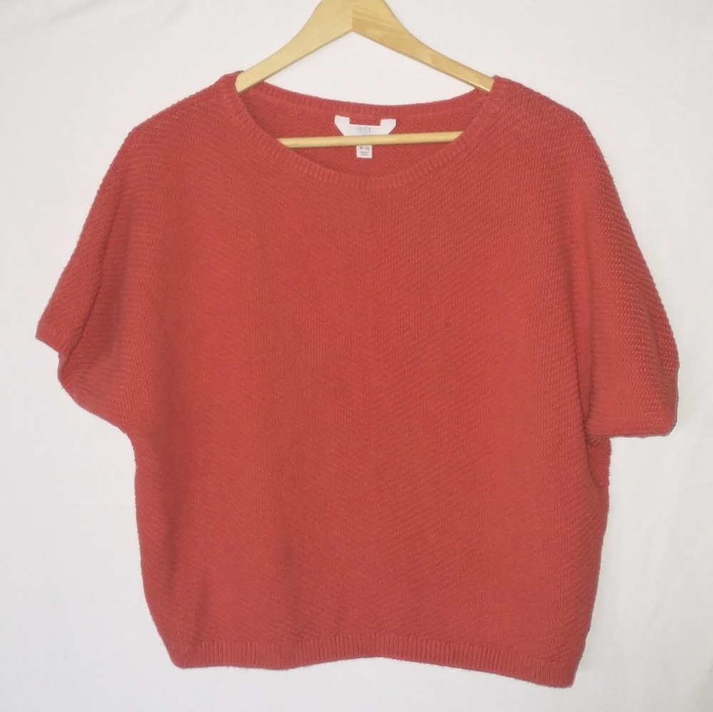 Autumn Fall Themed Oversized Knit Batwing Sweater Blouse Short Sleeve Crop M